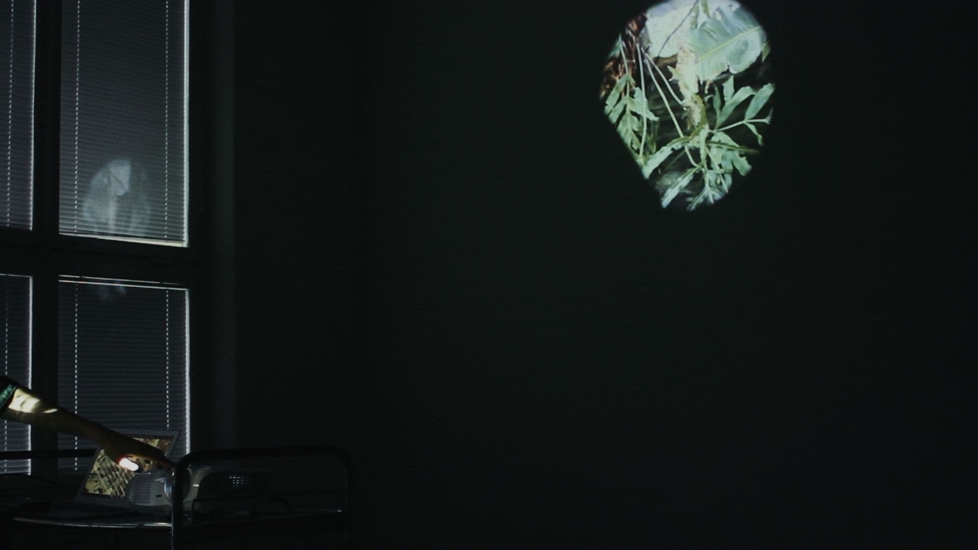 Lina Selander & Oscar Mangione, The Eye Is the First Circle, 2023, (still)